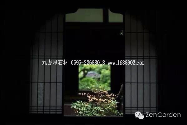 雨後高桐院 安靜 幽美